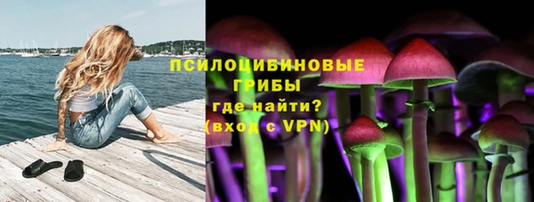 кокс Вяземский
