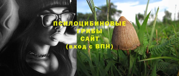 кокс Вяземский