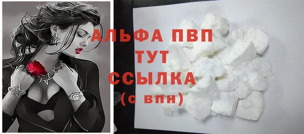 PSILOCYBIN Вязьма