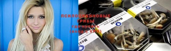 ГАЛЛЮЦИНОГЕННЫЕ ГРИБЫ Вязники