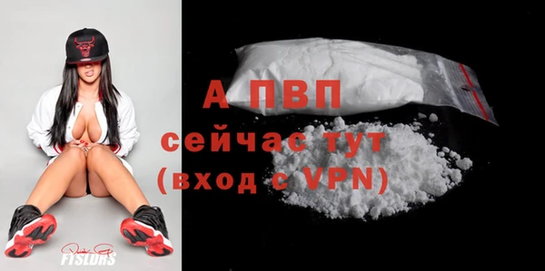ГАЛЛЮЦИНОГЕННЫЕ ГРИБЫ Вязники