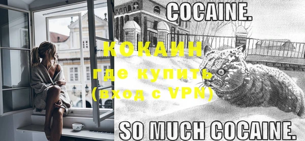 PSILOCYBIN Вязьма