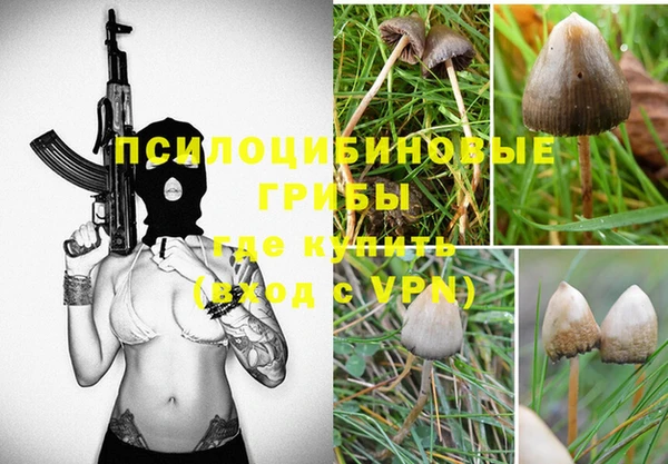 ГАЛЛЮЦИНОГЕННЫЕ ГРИБЫ Вязники
