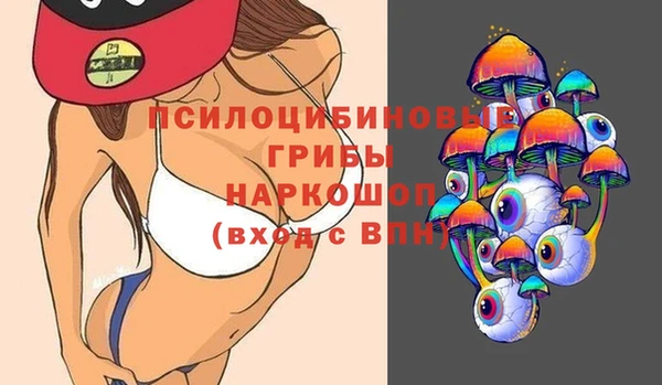 кокс Вяземский