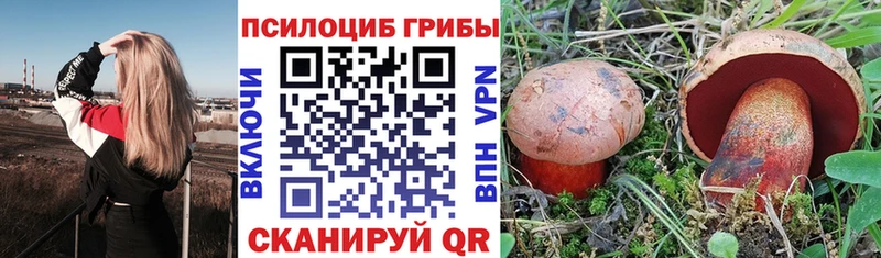 Купить где  Лесной  Псилоцибиновые грибы Psilocybine cubensis 